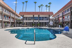 Tempe Oasis