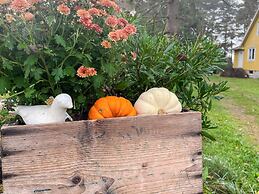 4 Person Holiday Home in Farjestaden