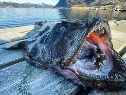 12 Person Holiday Home in Davik