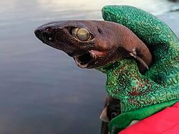 12 Person Holiday Home in Davik