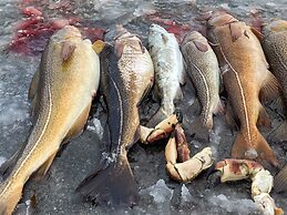 12 Person Holiday Home in Davik