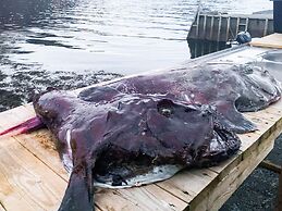 12 Person Holiday Home in Davik