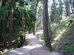 Modern Apartment With Views