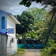 Ozone Beach House & Rooms