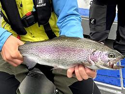 6 Person Holiday Home in Slussfors