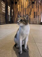 39F Smart Home Studio In Manila