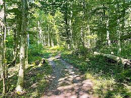 6 Person Holiday Home in Borgholm