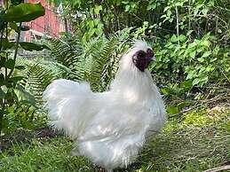 3 Person Holiday Home in ABY