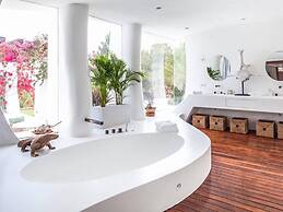 Magnificent Villa With Infinity Pool