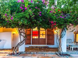 Magnificent Villa With Infinity Pool