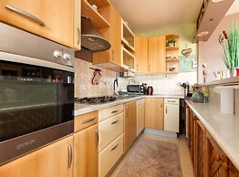 Luxury Seget Donji Apartments With Terrace and Sea View