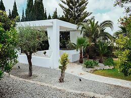 Luxurious Villa With Bright Terrace