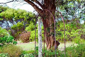 The Swans Cottage - Walking Path to Bird Blind