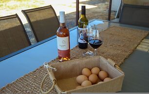 Mclaren Vale Vineyard Homestead