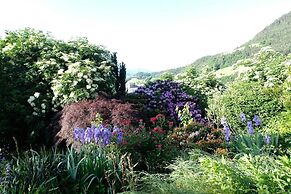 Le Rose Di Marianne - Sud