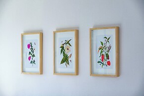 Le Rose Di Marianne - Ovest