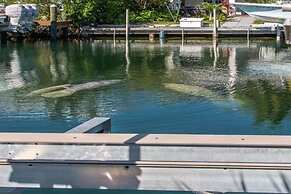 Exceptional Venetian Shores Home With Pool, Dock And Boat Lift. 4 Bedr