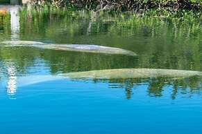 Exceptional Venetian Shores Home With Pool, Dock And Boat Lift. 4 Bedr