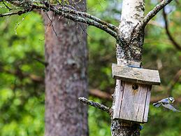 7 Person Holiday Home in Lyngdal