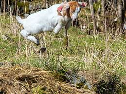 7 Person Holiday Home in Lyngdal