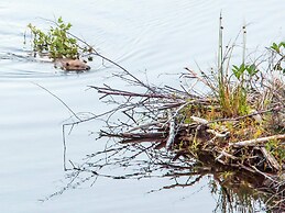 7 Person Holiday Home in Lyngdal