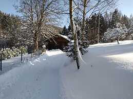 Spacious Holiday Home With Internet