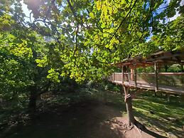 Holiday Home With Swimming Pool