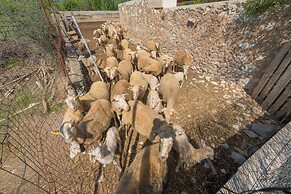 Granja - Villa With Private Pool In Inca