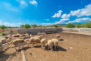 Granja - Villa With Private Pool In Inca