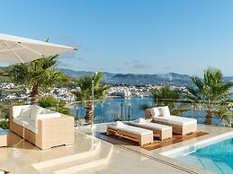 Lavish Villa With Infinity Pool and Views