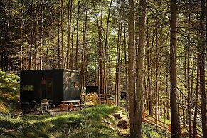 Postcard Cabins Piney Woods