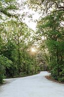 Postcard Cabins Piney Woods
