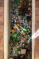 Luxury Villa in Cozumel w Pool & Hot Tub