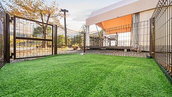 Gapeyong Fourseason Pet Glamping Caravan