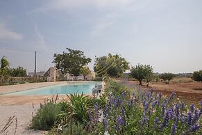 TD Trulli Perla Bianca Trulli With Pool Vineyards