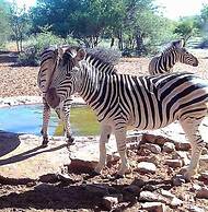 Gamagara Africa private nature reserve