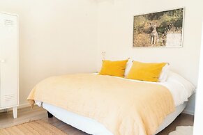 Glaciar de Roca Lofts