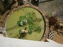 Infinity Boutique Hotel Kata Beach