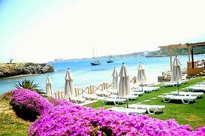 Sea & Sky Holiday Homes