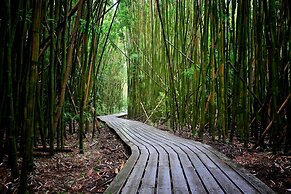 Kihei Ali'i Kai Condos with Ocean View and Parking