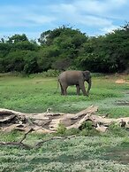 Avian Garden Udawalawe
