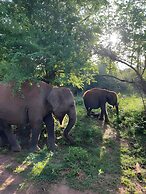 Avian Garden Udawalawe