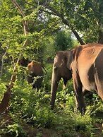 Avian Garden Udawalawe