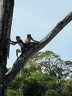 Avian Garden Udawalawe