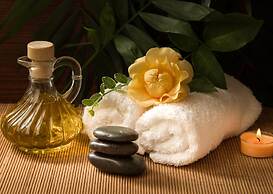 dusitD2, Fagu, Shimla