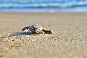 Valverde Glamping & Ecolodge