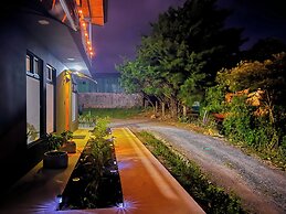 Monstera Apartments Monteverde