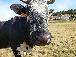 Auberge de la Chaume de Balveurche