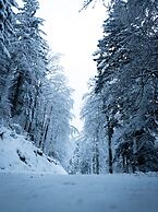 Auberge de la Chaume de Balveurche