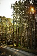 Postcard Cabins Mount Adams